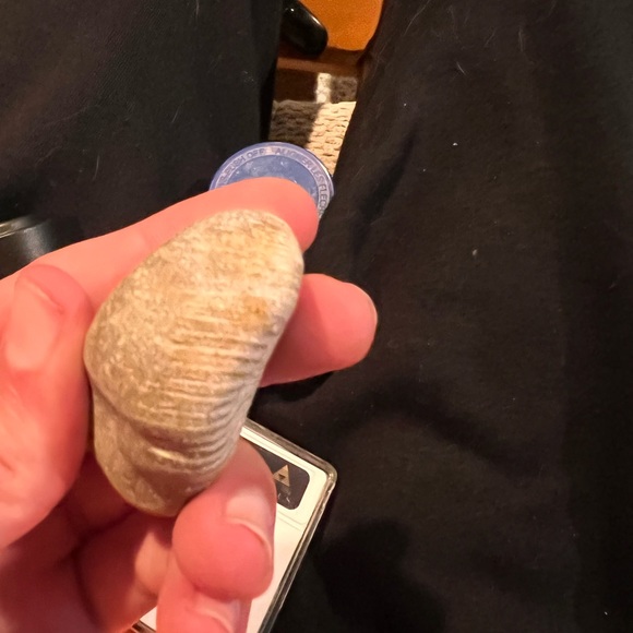 Ammonite Fossil (Authentic) - Picture 3 of 4